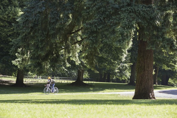 Out for a ride 569 1185 600x400 — Studio 3 Inc. Studio 3, Inc. — Studio 3, Inc.